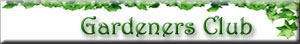 Click here to view site