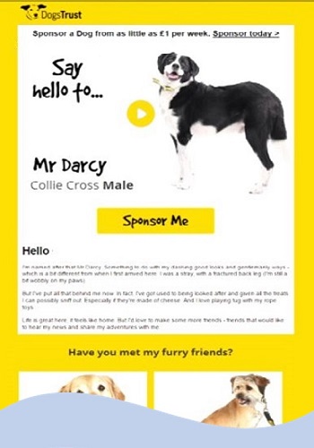 Dogs Trust Campaign - Web-Clubs Digital