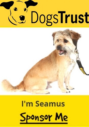 dogs trust